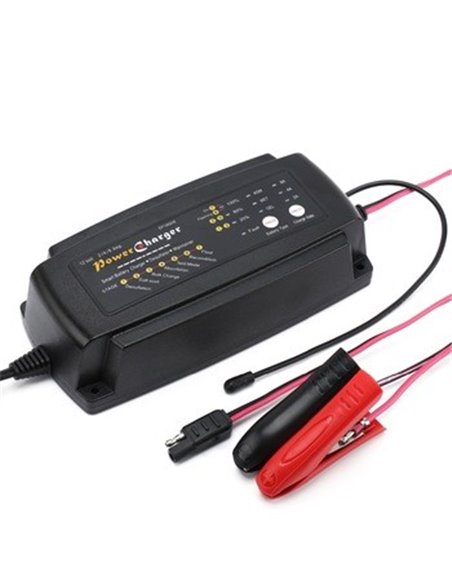 Smart Battery Charger 248