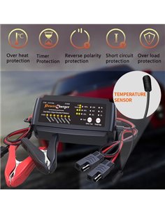 Smart Battery Charger 248 2