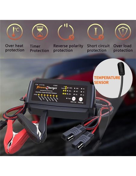 Smart Battery Charger 248