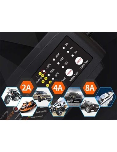 Smart Battery Charger 248