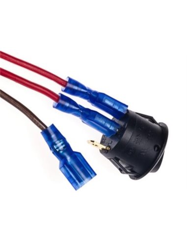 Okroglo stikalo NEON 12V