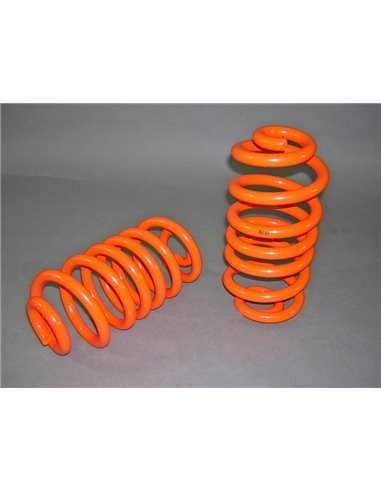 Vzmetenje Trail Master