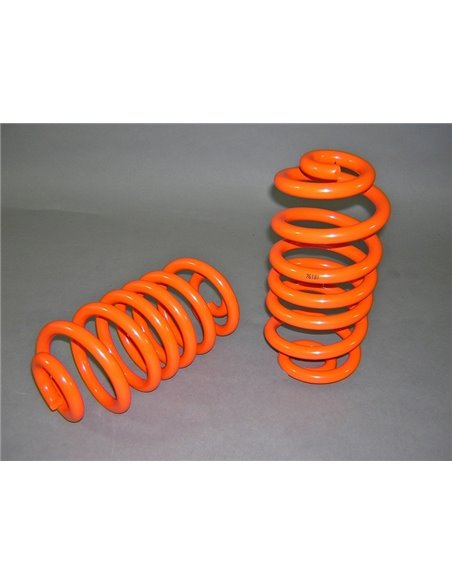 Vzmetenje Trail Master